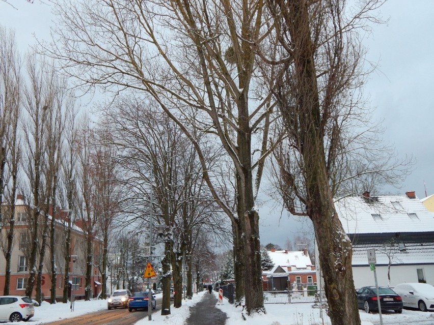 Ustka zasypana śniegiem. Na ulicach miasta zimowe warunki [ZDJĘCIA]