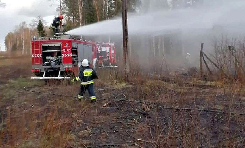 Pożar poszycia leśnego w gminie Rzeczenica