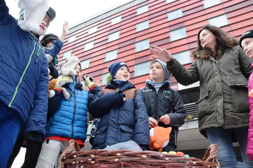 Pluszaki ratują zwierzaki! Fundacja Arka rusza z niezwykłą akcją ZDJĘCIA