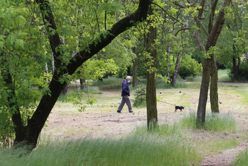 Park Fusińskiego (przy Kresowej) w Sosnowcu przechodzi...