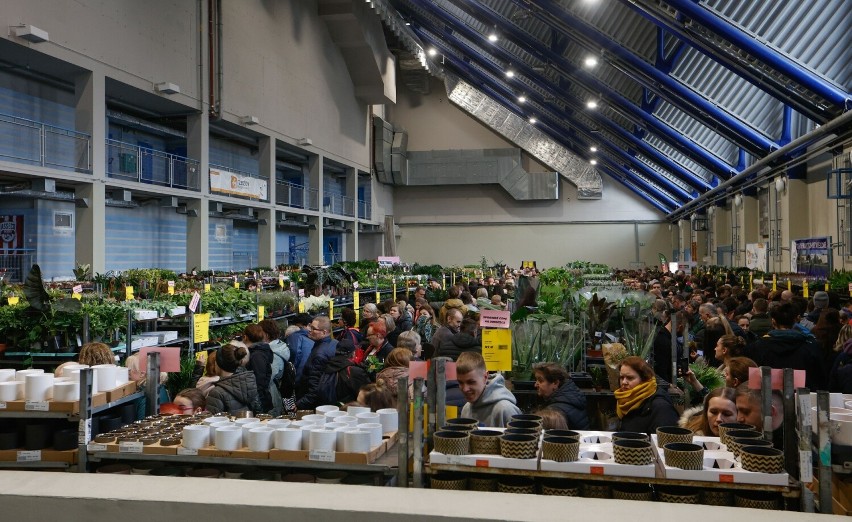 Roślinny Market w hali Podpromie. Tłumy miłośników kwiatów na rzeszowskim Festiwalu Roślin [ZDJĘCIA]