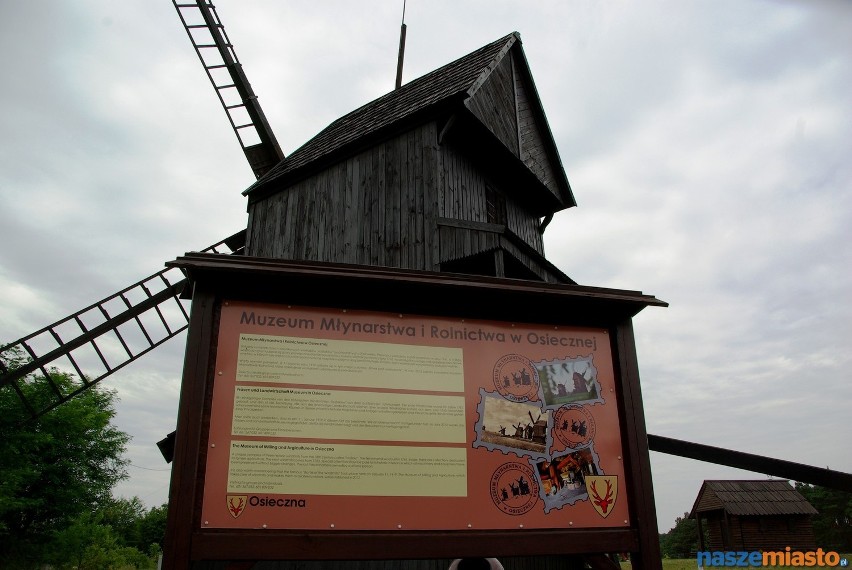 Wiatraki w Osiecznej są siedzibą Muzeum Młynarstwa i...