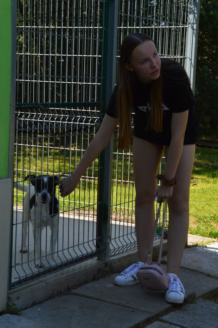 Dzień otwarty w schronisku dla zwierząt w Bełchatowie