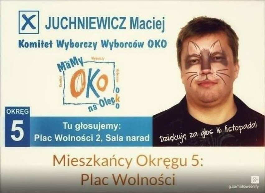 Wybory 2014. Dziwne i śmieszne plakaty tegorocznej kampanii wyborczej [NOWE]