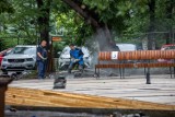 Kraków. Plac Axentowicza ławkami stoi. Nie byle jakimi, bo wykonanymi z egzotycznego drewna. Urząd nie podaje, ile kosztowały