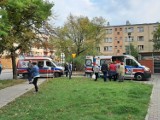 Kierowca potrącił matkę w Mysłowicach. Był nietrzeźwy [ZDJĘCIA] 