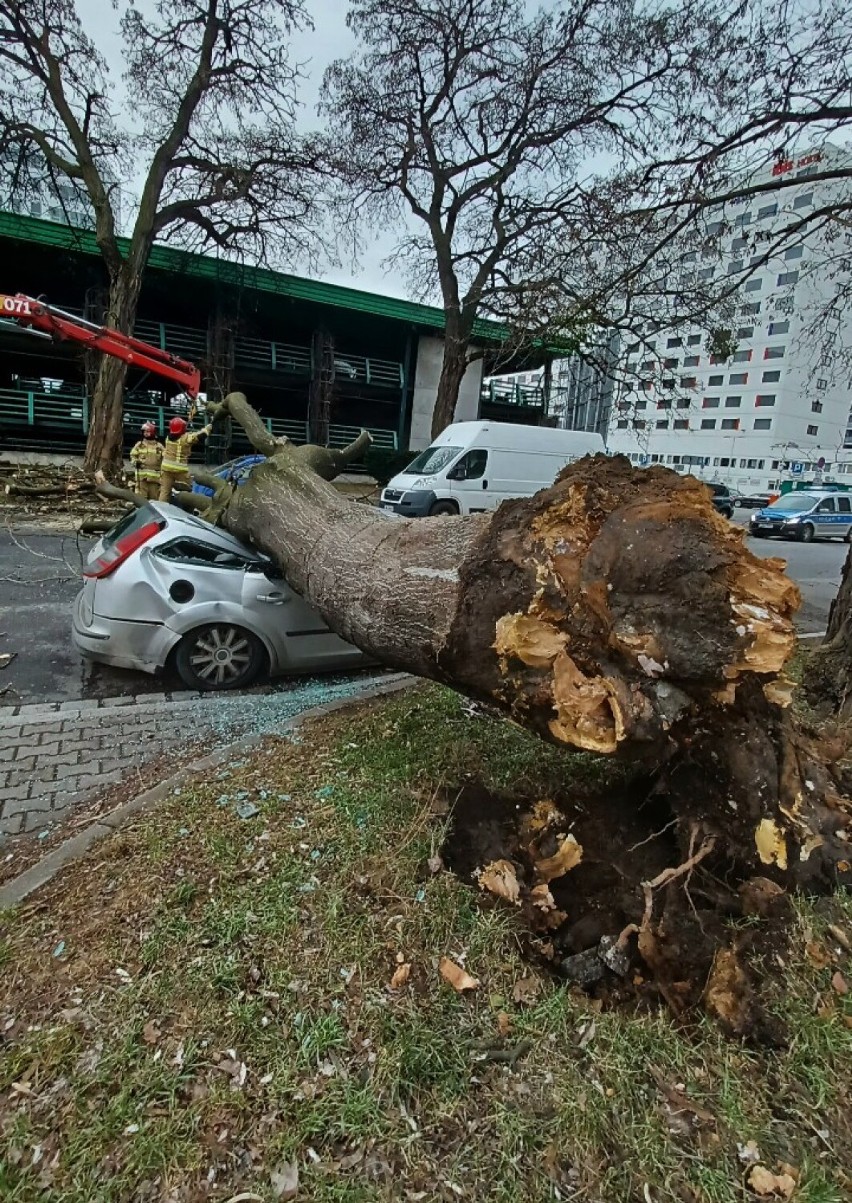 Wichura powaliła drzewo, które spadło na samochody we...