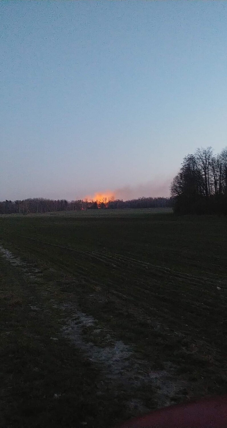 Ogromny obszar uprawy dębu strawiony przez ogień