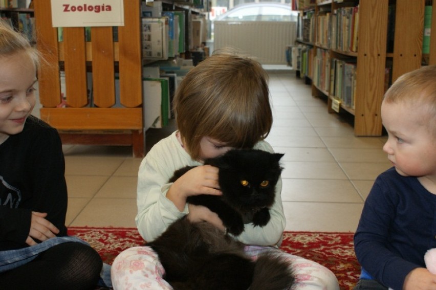 Felinoterapia w Koninie ma wielu zwolenników