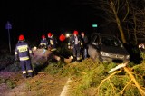 W Szczecinie drzewo spadło na jadący samochód [ZDJĘCIA]