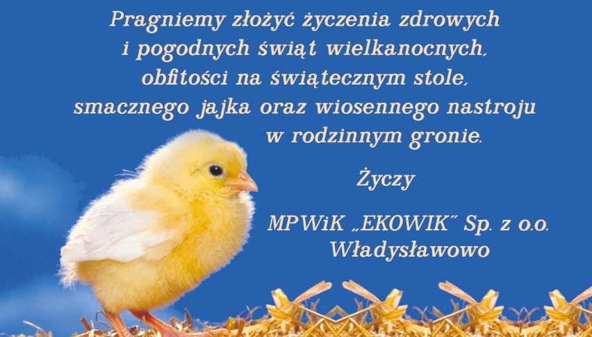 MPWiK Ekowik Władysławowo
