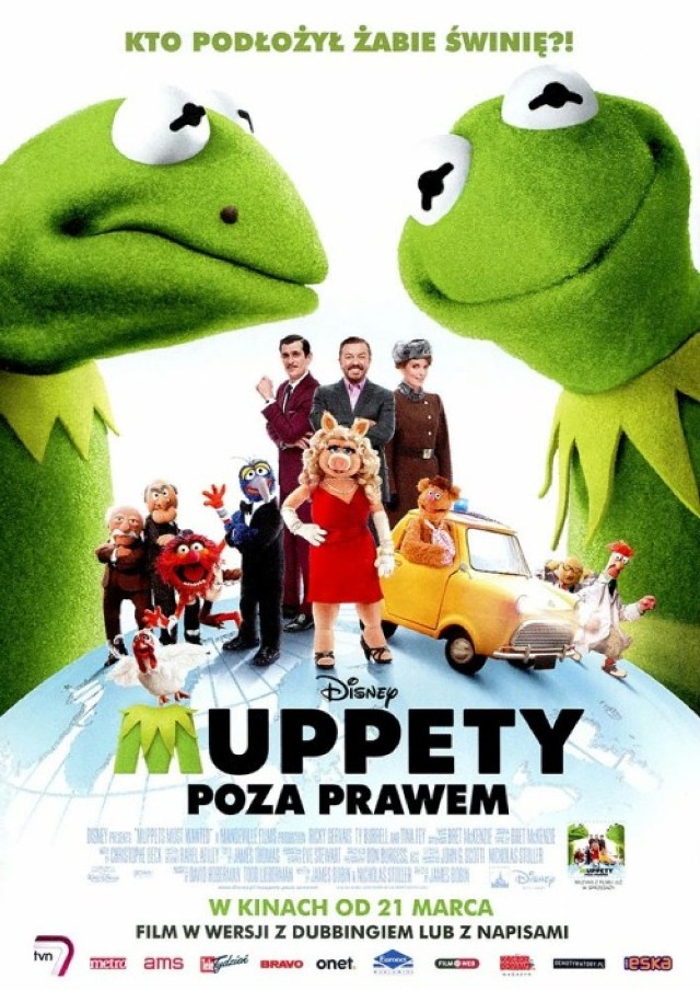 "Muppety: poza prawem" to pełnometrażowe kino familijne z odrobiną sensacji. Kermit będzie musiał zmierzyć się ze swoim złym alter ego, piekielnie podobnym do niego złodziejem Constantinem. Tym razem przygody Kermita i spółki to już swoiste "pluszowe kino sensacyjne" z ogromną dawką humoru i towarzyszącymi Muppetom prawdziwymi aktorami. Muppety zobaczymy w czasie ich międzynarodowego tournee. W tym samym momencie z więzienia ucieka "najniebezpieczniejszy złodziej diamentów", który jest przy okazji sobowtórem Kermita. Różni ich jedynie mały pieprzyk na pyszczku. Constantin podstępem rzuca podejrzenie na Kermita i nasz bohater ląduje w więzieniu. Jego towarzysze będą potrzebowali sporo czasu, by zauważyć, że podróżująca z nimi żaba to wcale nie ich najlepszy przyjaciel Kermit.
Akcja przenosi się do wielu miejsc. Widzowie raz trafiają do Londynu, raz do Madrytu. Przenoszą się też do Berlina, gdzie Panna Piggy przypomina słowa prezydenta Kennedy'ego "Ich bin ein Berliner". Pluszowi koledzy muszą zażartować, nazywając ją "Frankfurterką".
Pluszakom partnerują m.in. Ricky Gervais, Ty Burrell, Tina Fey, a także zdobywca Oscara, Christoph Waltz. 
(Monika Jagiełło)

"Muppety: Poza Prawem", reż. James Bobin