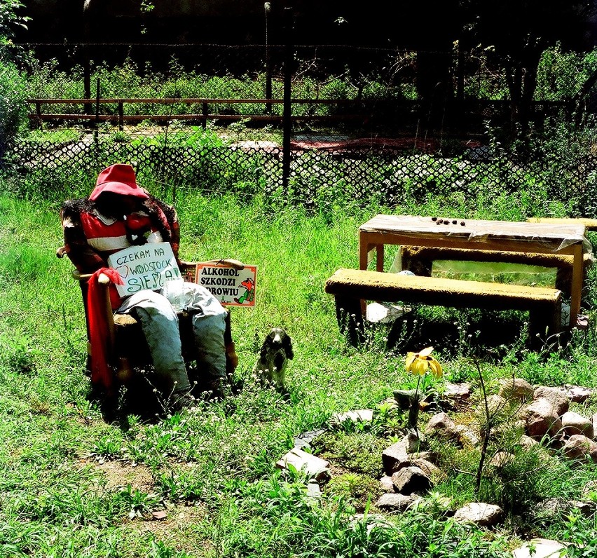 XII Przystanek Woodstock 2005 - Kostrzyn nad Odrą po raz drugi i ze słonecznikami [zdjęcia]