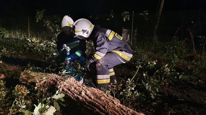 Strażacy z OSP Krotoszyn mieli pełne ręce pracy