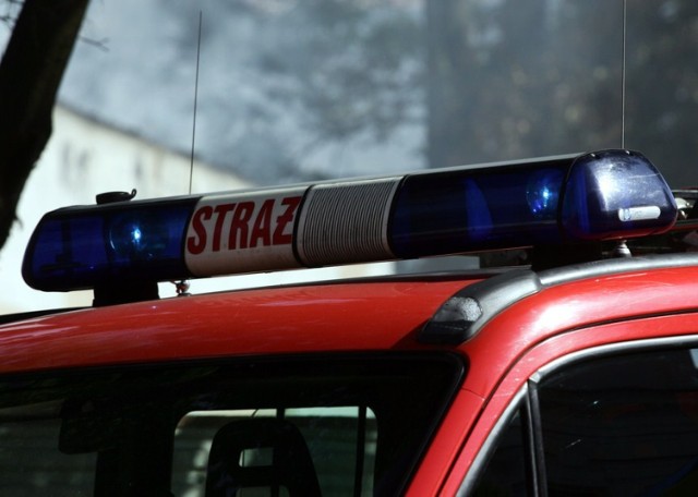 Skowieszynek: Strażacy z OSP podpalali trawy