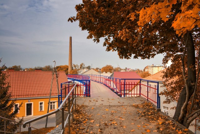 Międzynarodowy fotospacer w Kwidzynie. Zdjęcia uczestników