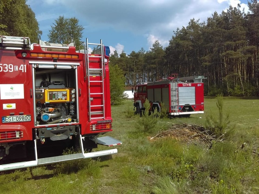 Pożar na terenie dawnego internatu i ogień w lesie. Straż miała pracowity dzień[GALERIA]