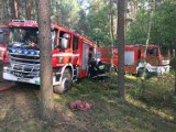 Seria podpaleń lasów w gminie Brzeziny. Policja zatrzymała podpalacza!