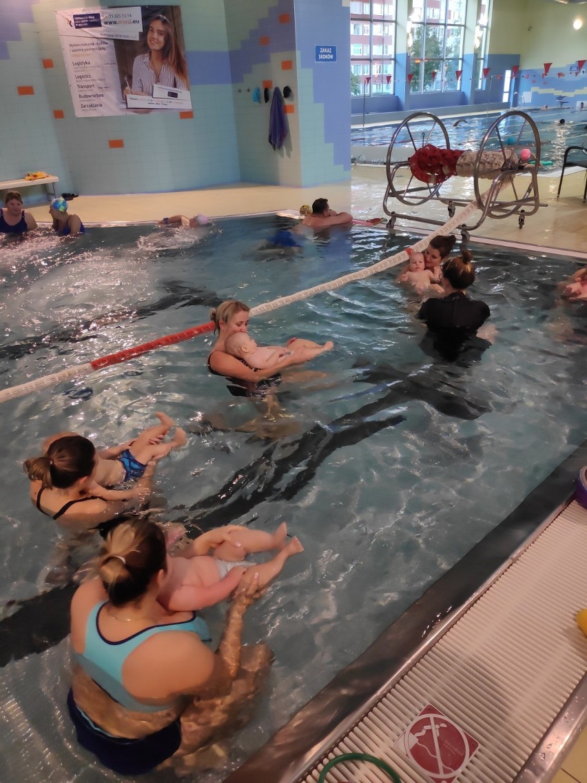 Nauka pływania dla niemowląt w Legnicy - Akademia Pływania Delfinek