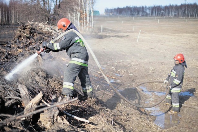 Spłonęło 90 ha trawy i 10 ha młodnika.