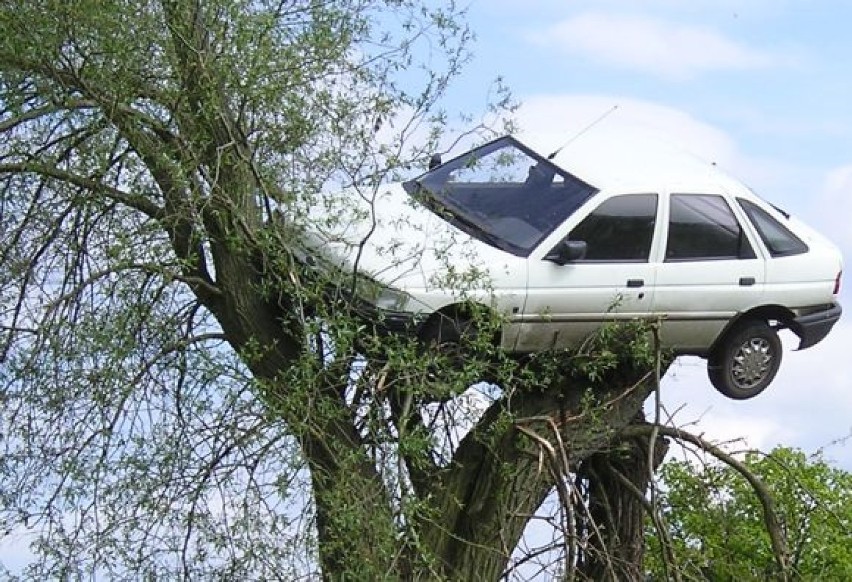 Auto na drzewie: Głupi żart czy zemsta?