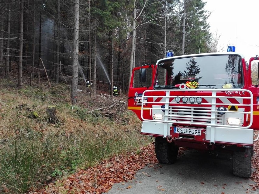 Zawoja. Ćwiczyli na wypadek pożaru lasu [ZDJĘCIA]