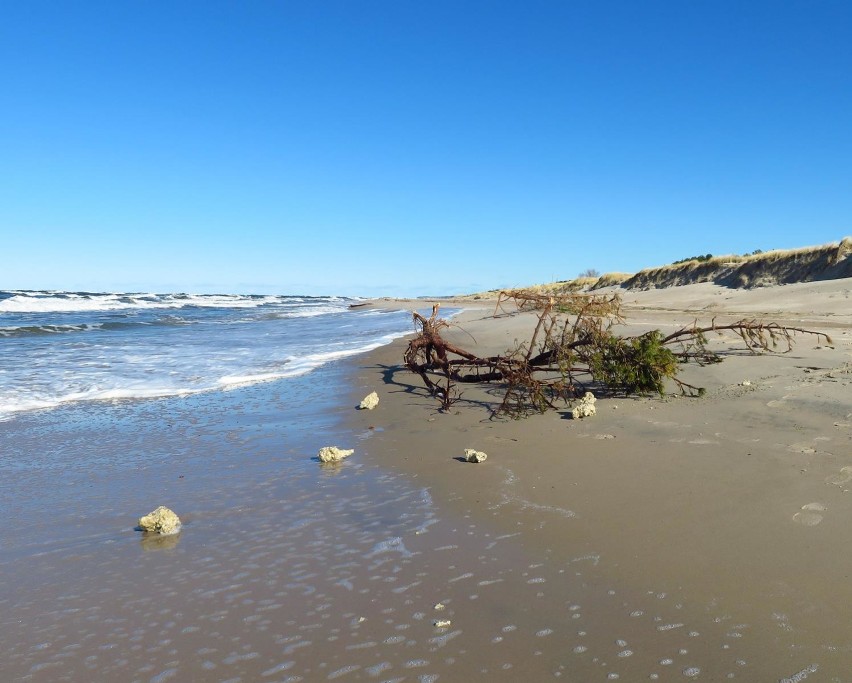 Morze wyrzuciło na brzeg parafinę (wideo, zdjęcia)