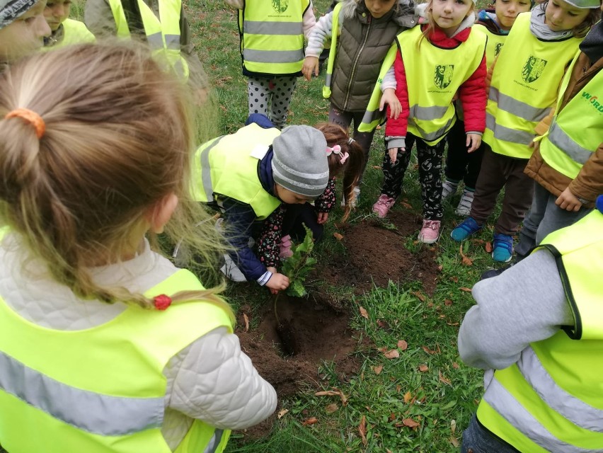 Przedszkolaki z jedynki sadziły drzewka pamięci