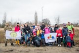 Sprzątanie Bydgoszczy! Bydgoszczanie uprzątnęli ze śmieci tereny zielone Fordonu oraz Brdyujścia [zdjęcia]