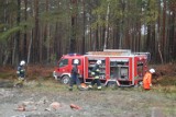 Kościerzyna- Chojnice: Szynobus zderzył się z ciężarówką. Maszynista nie żyje