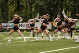 Cheerleaders Wataha Zielona Góra. Zobaczcie, jak piękne dziewczyny wspierały zawodników Watahy w Zielonej Górze[ZDJĘCIA]