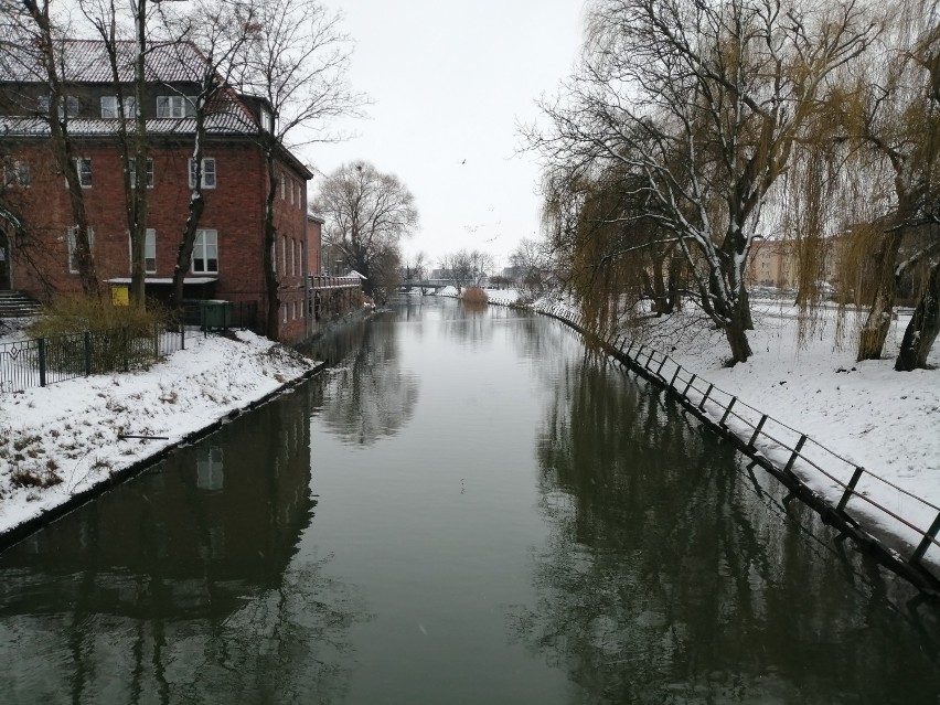 Nasypało śniegu w Nowym Dworze Gdańskim. Ulice miasta w śnieżnej oprawie