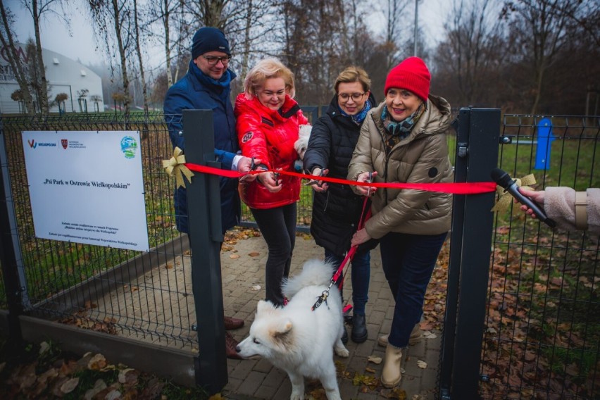 Ostrowski Psi Park. Raj dla czworonogów w Kozim Borku!