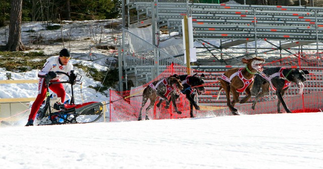 Pechowo zakończył się drugi start Igora Tracza na odbywających się w norweskim Holmenkollen mistrzostwach świata