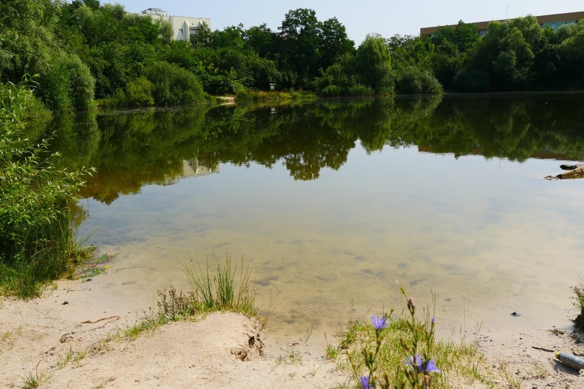 Co z terenem zbiorników wodnych Glinki w Lasku Złotoryjskim w Legnicy? Jest projekt rewitalizacji, są fundusze