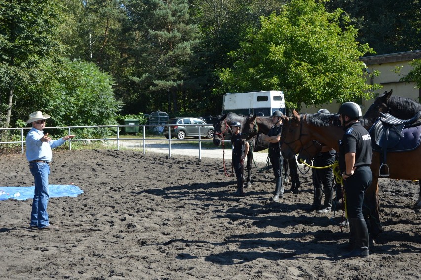 Szkolenie policyjnych koni z Ogniwa Konnego w Smardzewicach przez Akademię Jeździectwa Naturalnego [ZDJĘCIA, FILM]