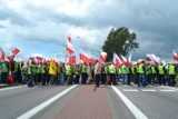 Protest rybaków na krajowej "siódemce". Protestują w Kiezmarku [ZDJĘCIA, WIDEO]