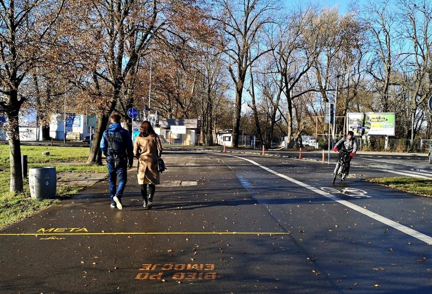 Kraków. Słoneczna pogoda przyciągnęła spacerowiczów na Błonia i do Parku Jordana [ZDJĘCIA]