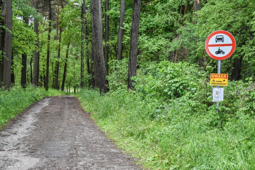 Gm. Ostroróg. W wolne popołudnie wybierz się nad Mormin! Letników jeszcze nie ma, ale teren pełen jest uroku