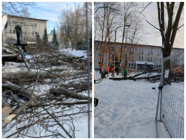 Zdjęcia z wycinki drzew na działce zbytej przez miasto. Działka znajduje się przy zbiegu Sportowej i Racławickiej w Chorzowie. Mieszkańcy protestowali przeciwko usunięciu drzew.