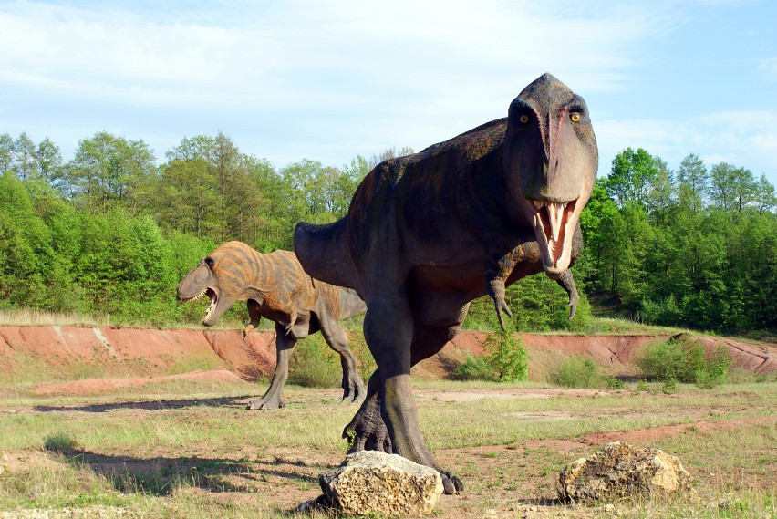 JuraPark Krasiejów - jak powstają dinozaury?