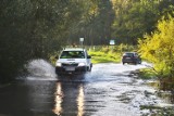 Odra wylała. Zalana jest droga wjazdowa do Wrocławia. Zobacz zdjęcia! 