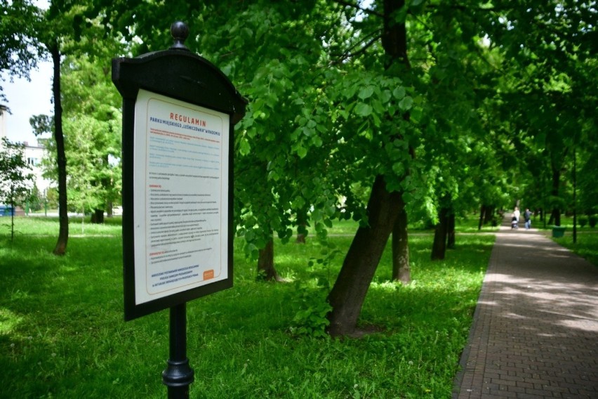 Park Leśniczówka w Radomiu. Idealne miejsce na niedzielne spacery