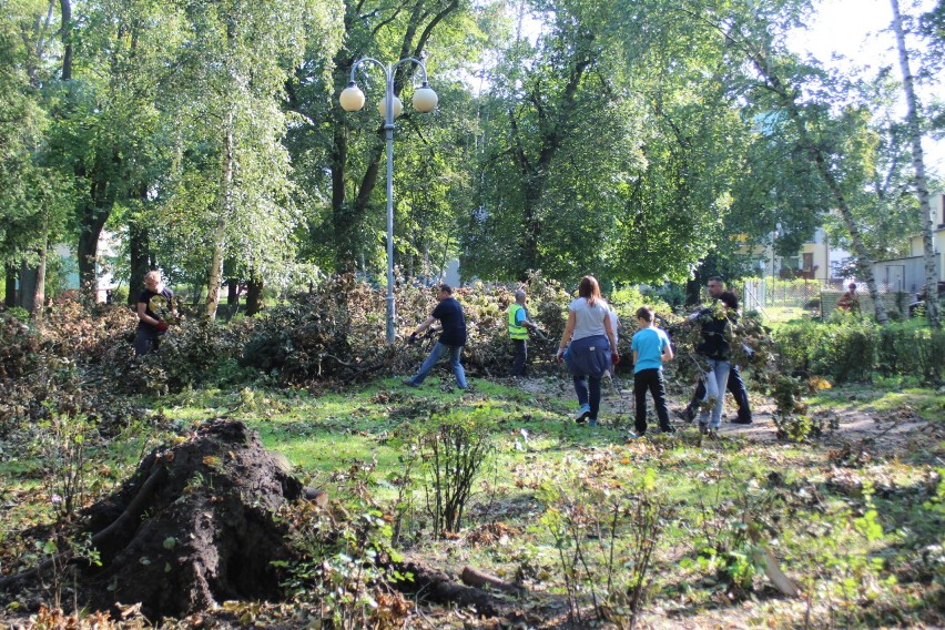 Sprzątanie Parku Trzech Kultur