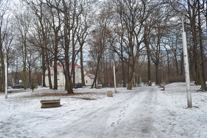 Park Zamkowy w Mysłowicach zimą. Miejsce, które powinno być...