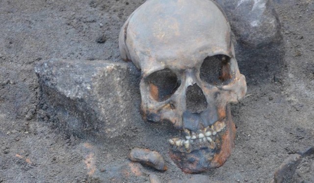 Czy poznamy dzieje czaszki znalezionej w Starym Zagórze pod Krosnem Odrzańskim?