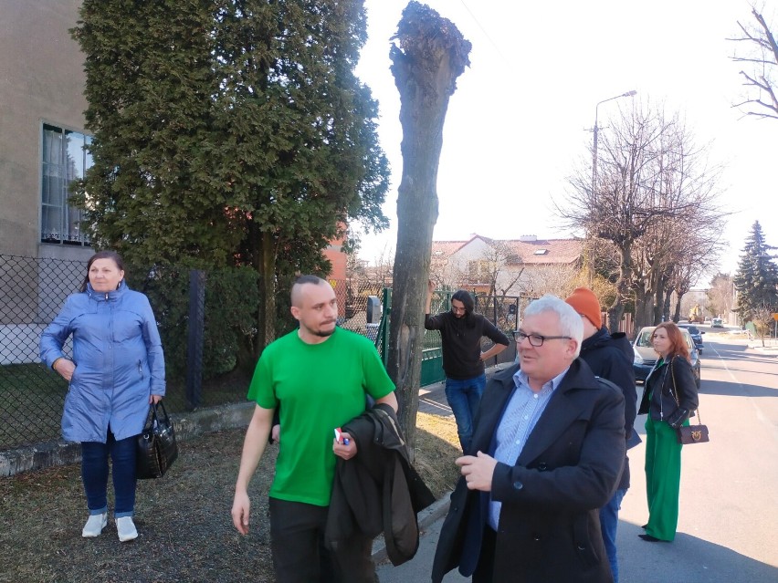 Pierwsze działania w ramach programu "Miejskie Drzewa" w Radomsku