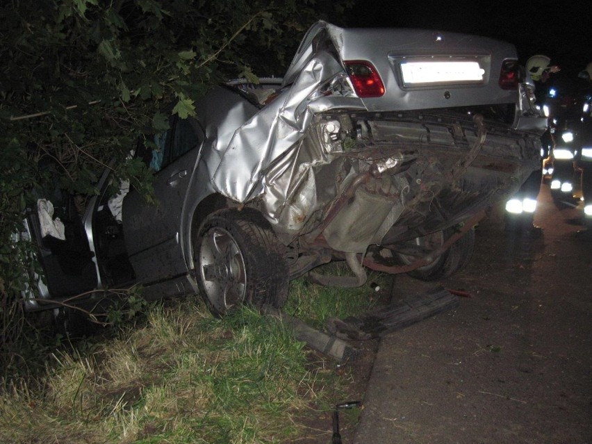 Strzyżewo: Auto wypadło z drogi