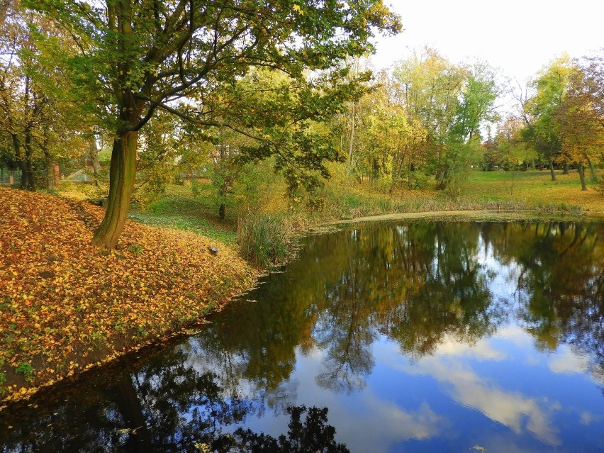 Grabonóg. Przepiękny zabytkowy park w jesiennej odsłonie [ZDJĘCIA] 