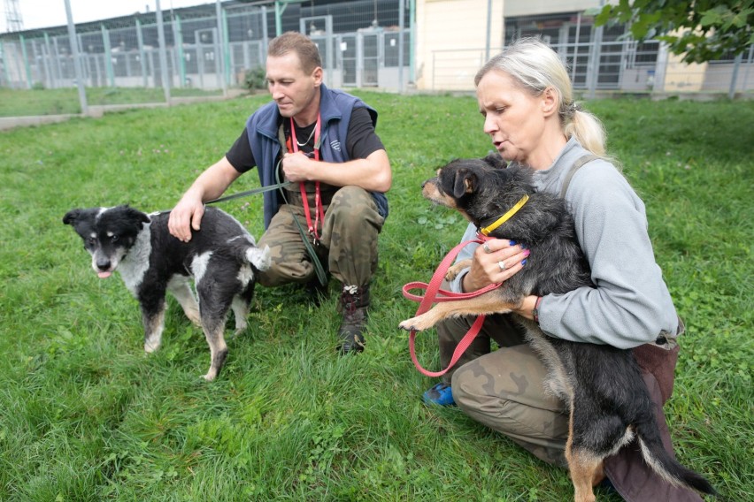 na dom czeka m.in. Klas, piesek, który zaczyna ślepnąć. To...